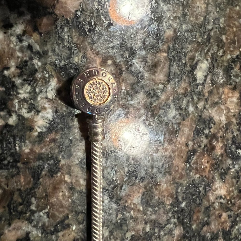 Pandora charm bracelet